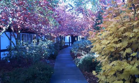 A curved concrete walkway flanked by colorful trees beside a senior living building exterior.