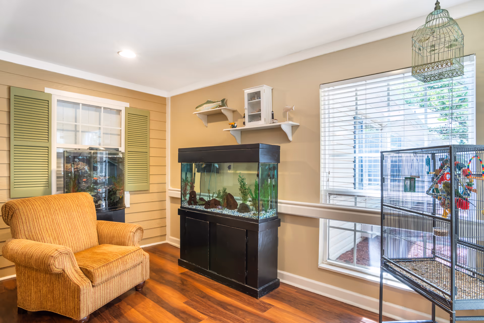 A cozy interior room with a mustard yellow armchair, two large fish tanks, a birdcage with colorful toys, wooden floors, beige walls, and a window with white blinds letting in natural light.