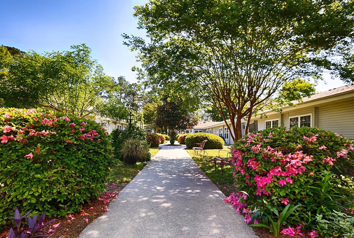 A sunny outdoor pathway lined with green bushes and pink flowers, leading between single-story buildings with beige siding. Trees provide shade along the walkway, and benches are placed on the grass beside the path.