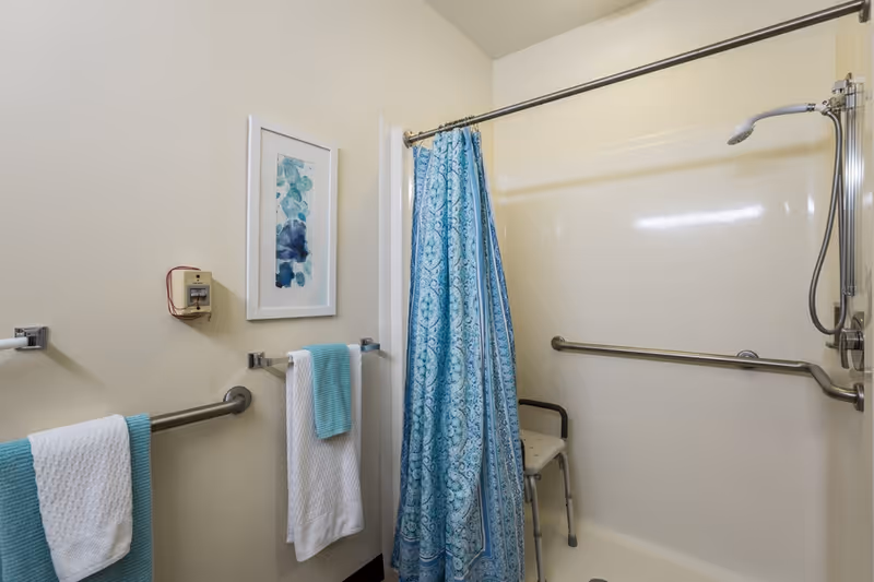Accessible bathroom featuring a walk-in shower with grab bars, a shower chair, and a blue patterned shower curtain with matching towels.