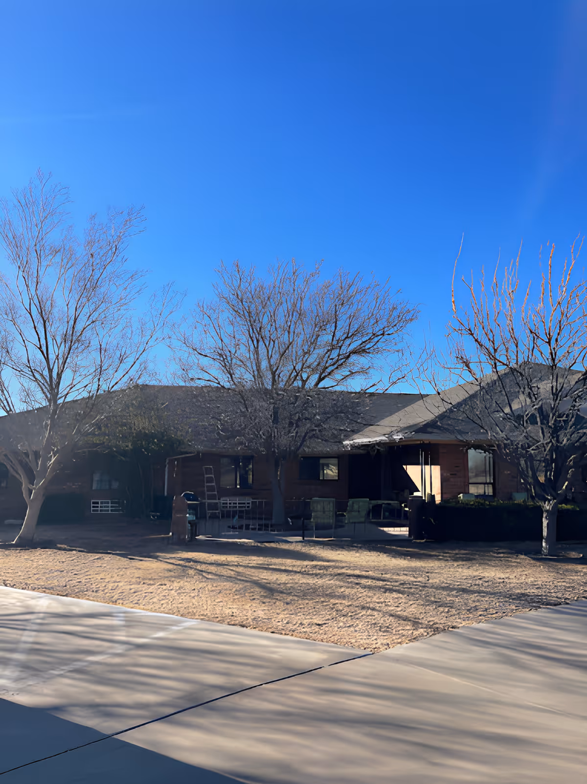 One-story brick building with leafless trees and outdoor seating under a clear blue sky, viewed from a paved driveway.