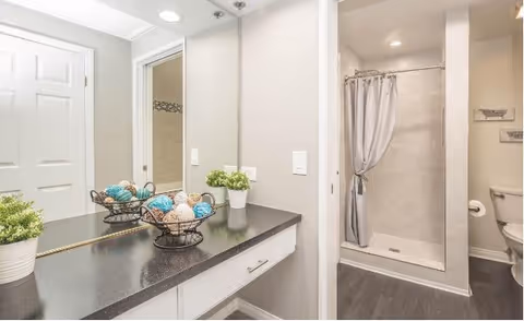 A clean and modern bathroom with a black countertop vanity featuring decorative baskets and a small potted plant. The bathroom includes a walk-in shower with a gray curtain and a toilet partially visible to the right. The walls are painted light gray and the floor has dark wood-style flooring.