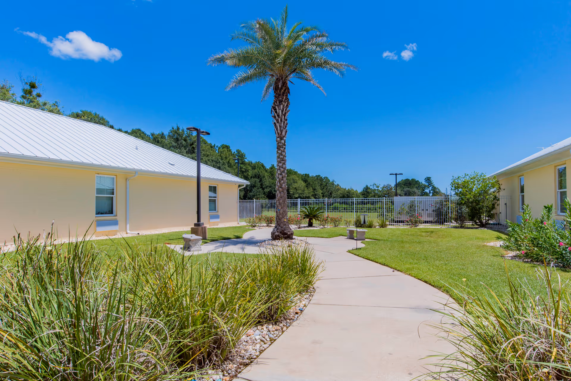 Sunny courtyard with a central palm tree, curved concrete walkway, grassy lawns and low single-story buildings.