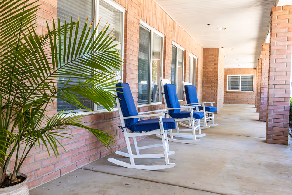 A covered outdoor porch area with three white rocking chairs featuring blue cushions lined up against a brick wall with multiple windows. A large potted palm plant is placed on the left side of the porch.