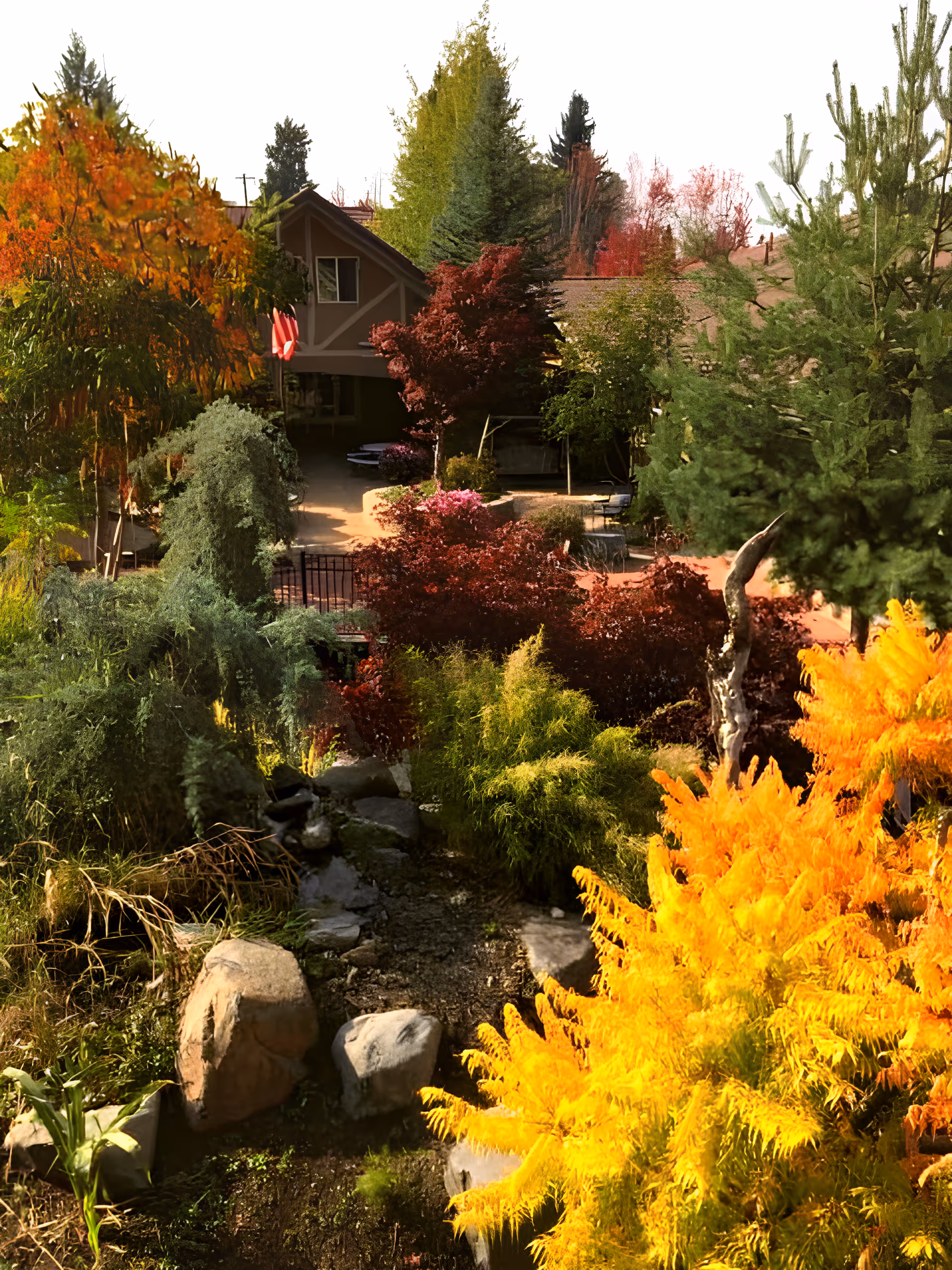 A vibrant outdoor garden area with a variety of colorful trees and shrubs in autumn hues, including bright yellow, orange, red, and green foliage. There are large rocks and a small stream or dry creek bed running through the garden. In the background, a building with a peaked roof and windows is partially visible, surrounded by more trees.