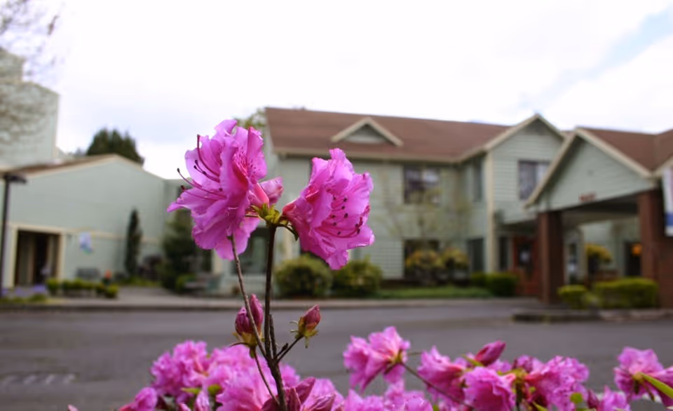Close-up of vibrant pink flowers in the foreground with a two-story residential building in the background under a cloudy sky.