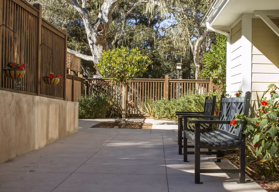 Outdoor patio area with two black metal benches, a concrete walkway, wooden fence, small trees, and flowering plants under a sunny sky.