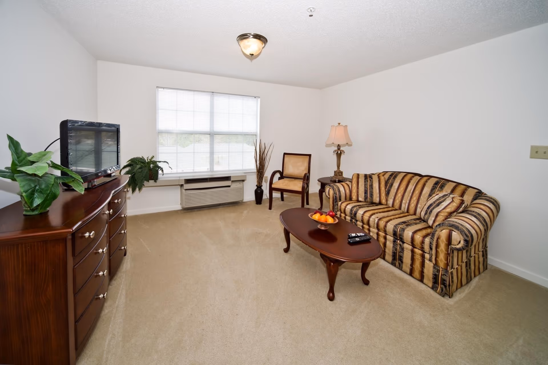 A living room with beige carpet, a striped sofa, a wooden coffee table with a bowl of fruit and remote controls, a wooden dresser with a TV and plants on top, a single armchair, a side table with a lamp, and a large window with blinds.