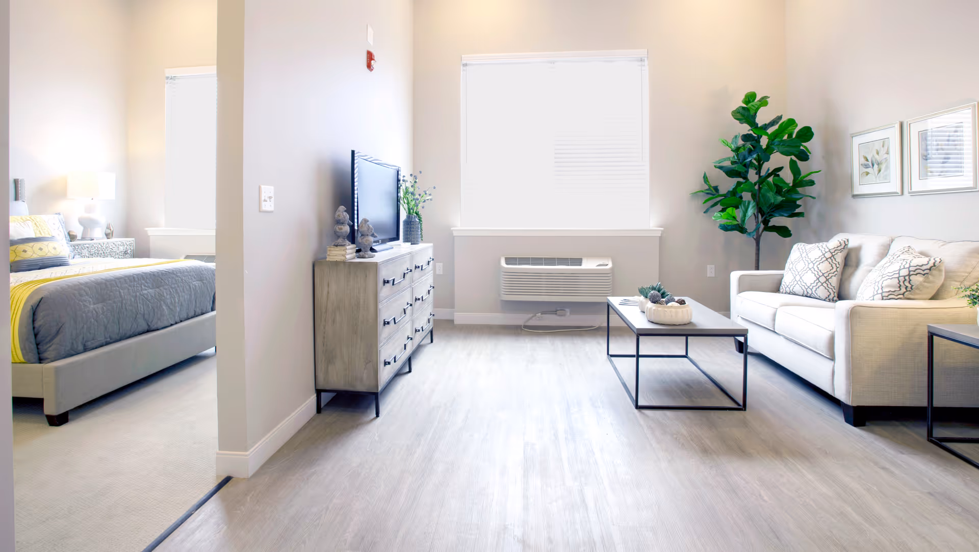 A bright and modern living area with a beige sofa, decorative pillows, a coffee table with a centerpiece, a large green plant, and two framed pictures on the wall. Adjacent to the living area is a bedroom with a bed covered in gray and yellow bedding, a bedside table with a lamp, and a window letting in natural light. A dresser with a TV and decorative items is positioned against a partial wall separating the two spaces.