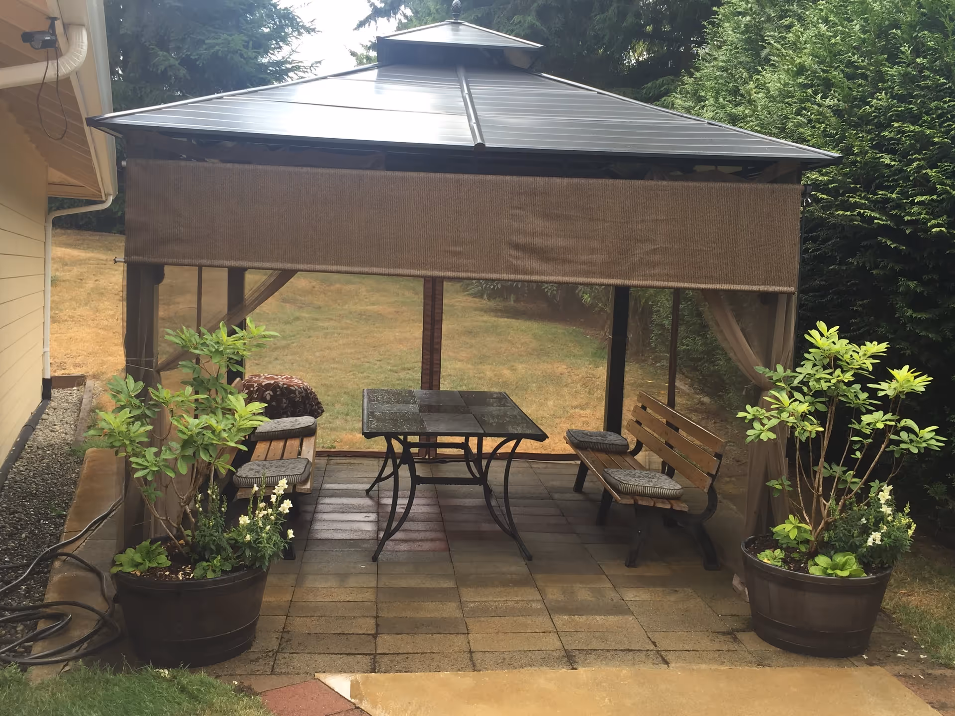 Outdoor gazebo with a metal roof and mesh sides, containing a glass-top table and two wooden benches with cushions. There are two large potted plants on either side of the entrance to the gazebo, and a grassy yard with trees in the background.