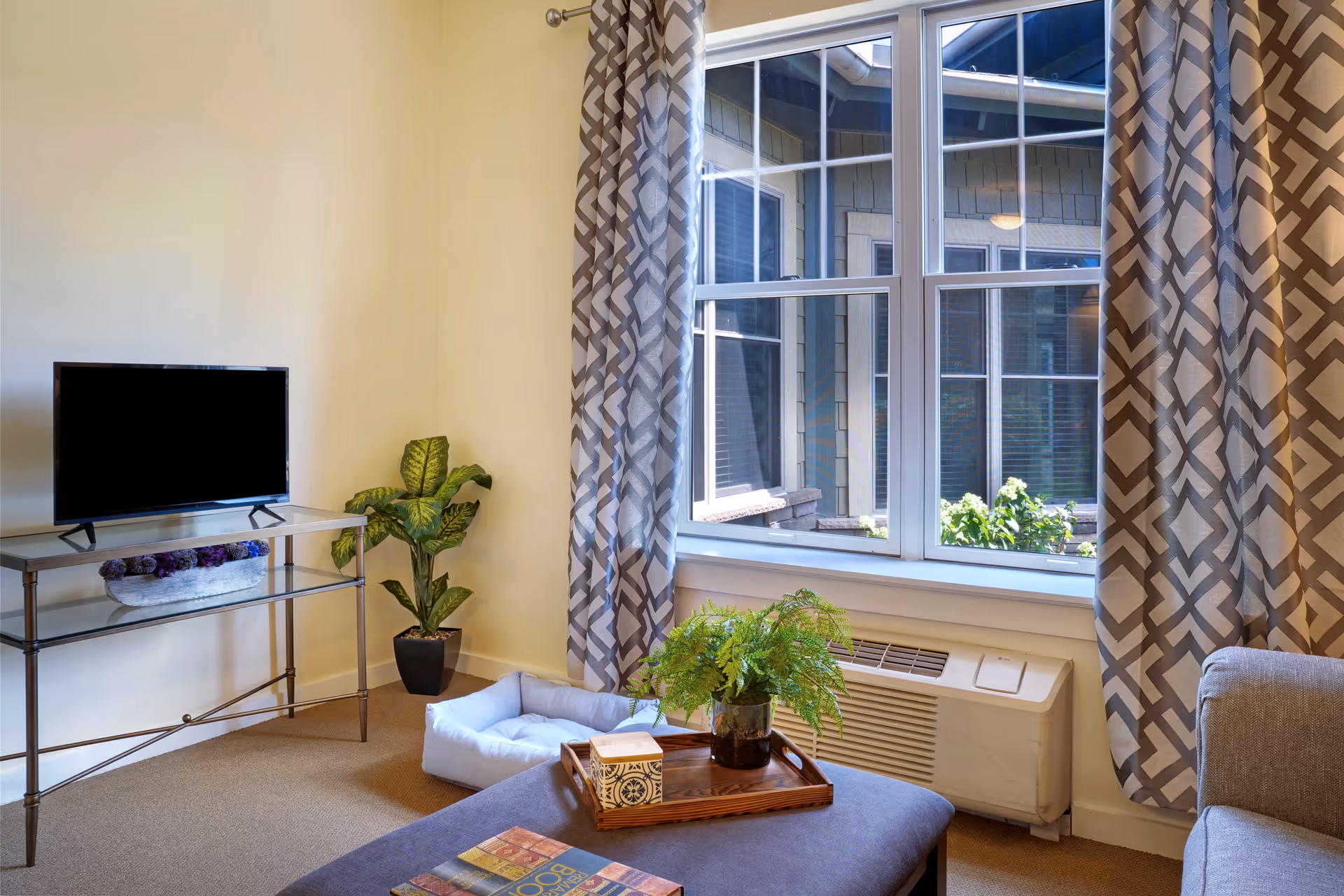 A cozy living room area with a flat-screen TV on a glass and metal stand, a potted plant beside it, a pet bed on the floor, and a large window with patterned curtains letting in natural light. A small table with a tray holding a plant and a decorative box is in the foreground.