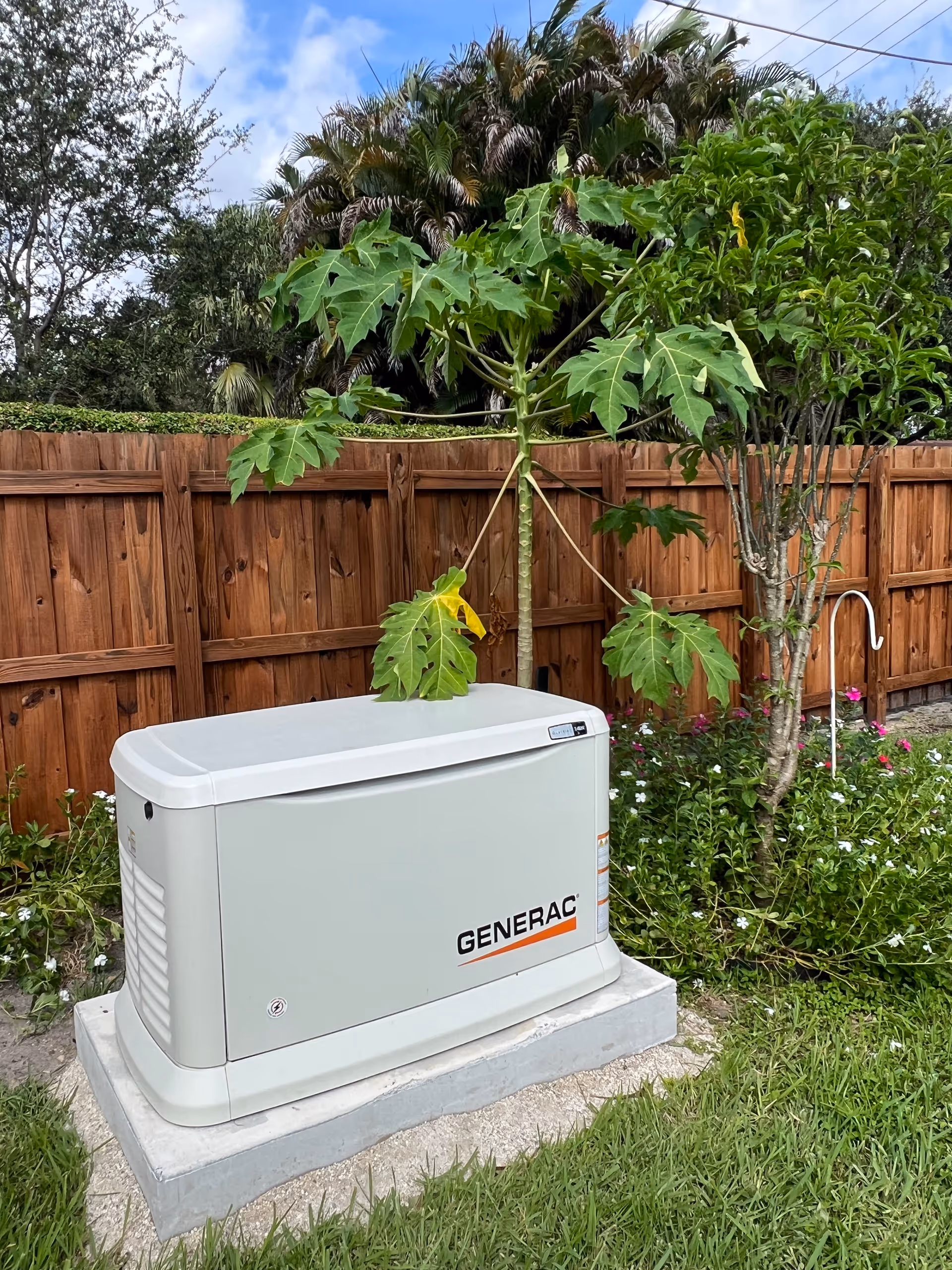 A Generac standby generator installed outdoors on a concrete slab, surrounded by green grass, plants, and a wooden fence in the background under a partly cloudy sky.