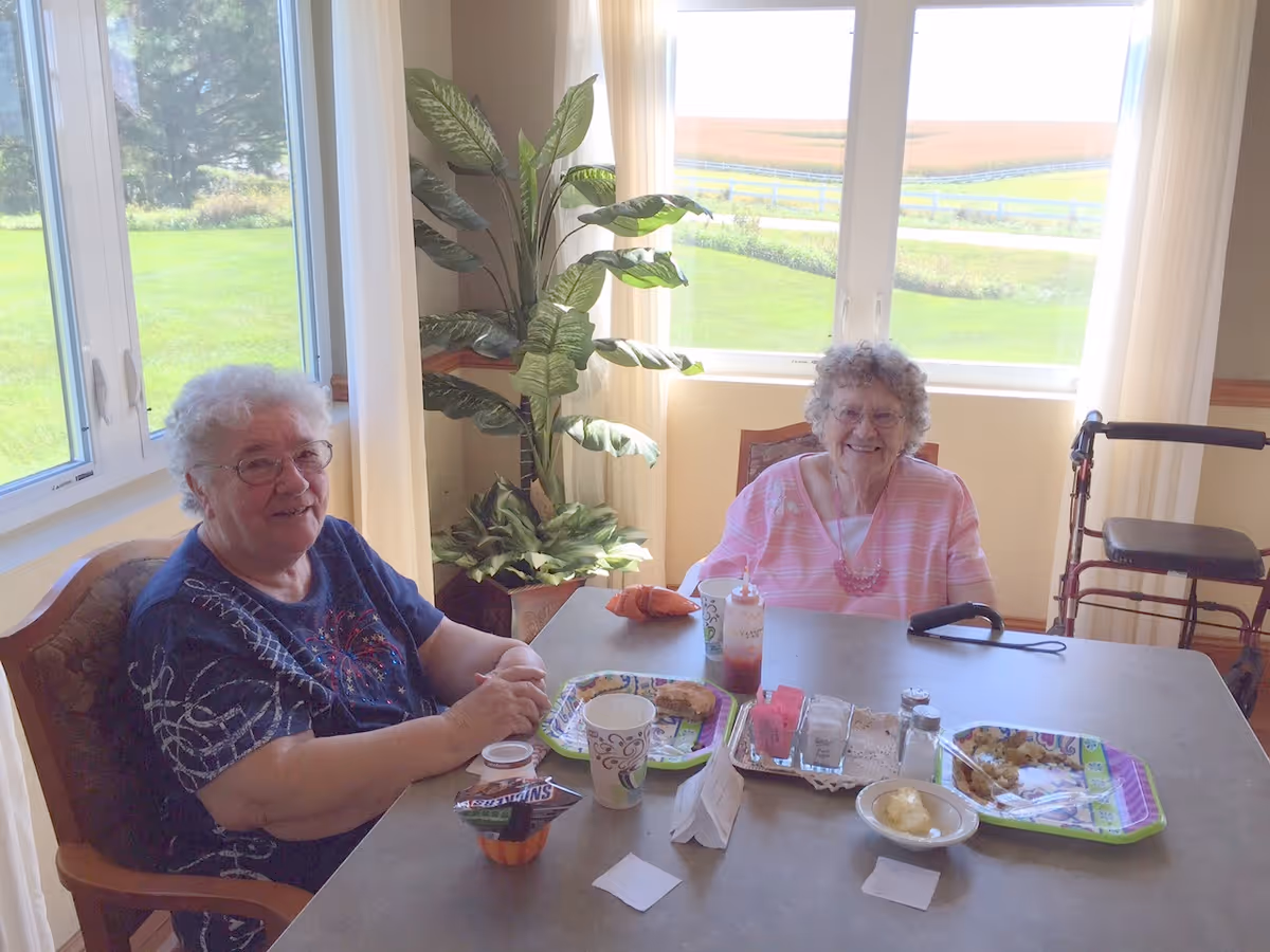 Two elderly women sitting at a dining table in a bright room with large windows showing a green outdoor landscape. The table has plates with food, cups, and condiments. One woman is wearing a dark blue shirt and glasses, and the other is wearing a pink striped shirt and glasses. There is a walker next to the woman in pink, and a large potted plant is visible near the window.