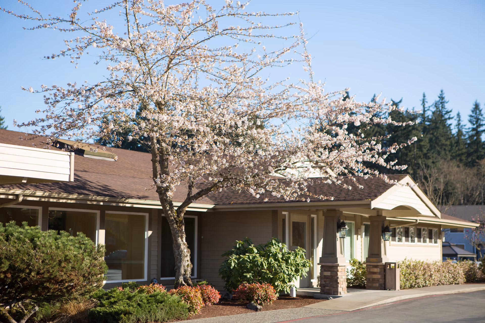 Front exterior of a single-story care facility with a blossoming tree and landscaped shrubs by the entrance.