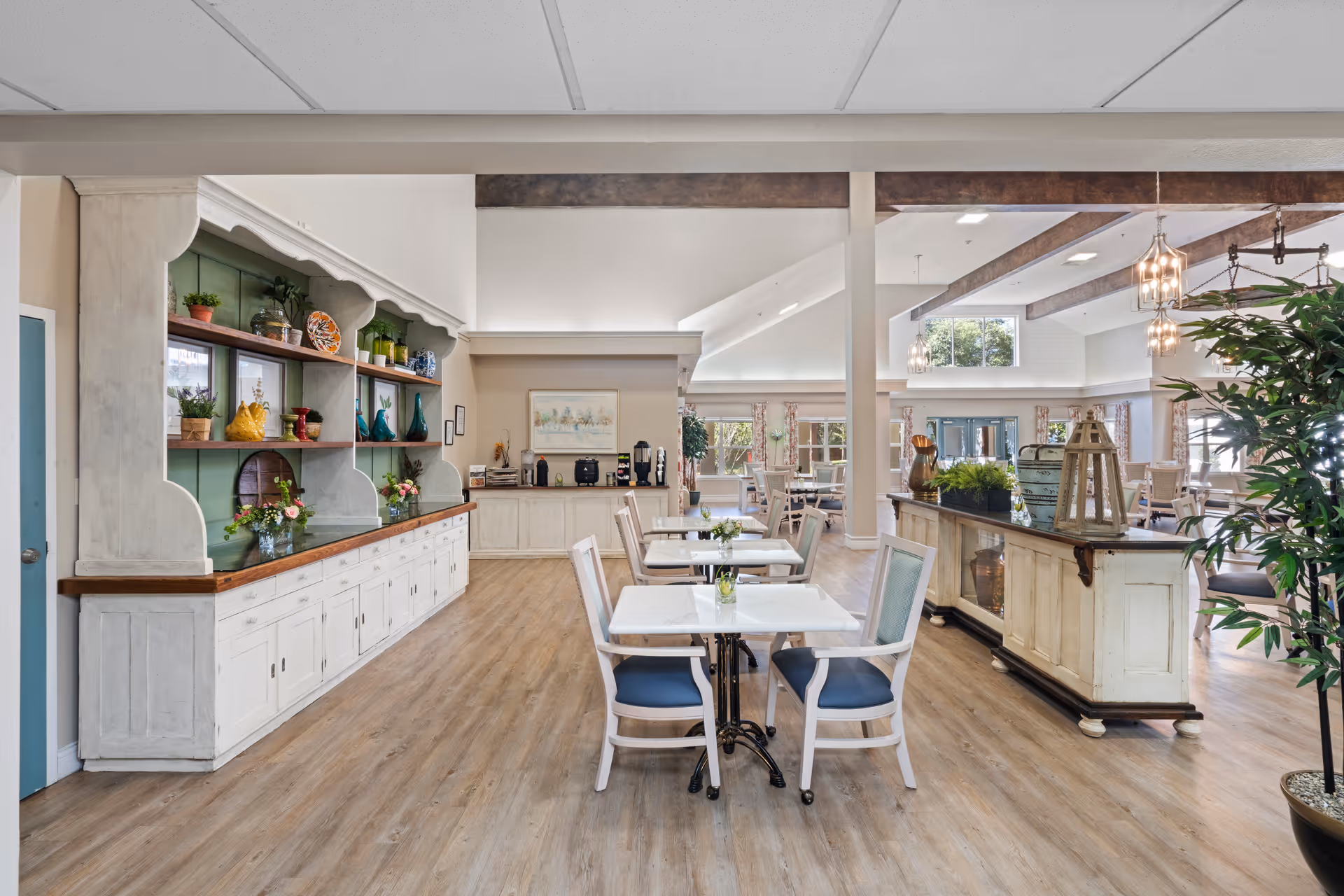 Bright open communal dining area with tables and chairs, decorative shelving, plants, and a serving counter.