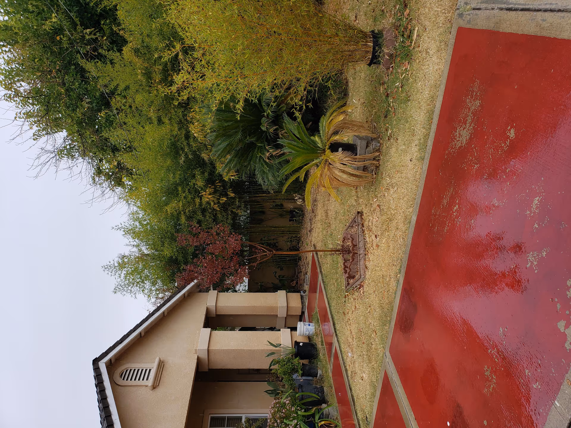 Outdoor view of a residential facility with a beige building featuring a covered porch. There is a red concrete pathway and a small garden area with various plants and trees, including a palm and bamboo. The sky is overcast.