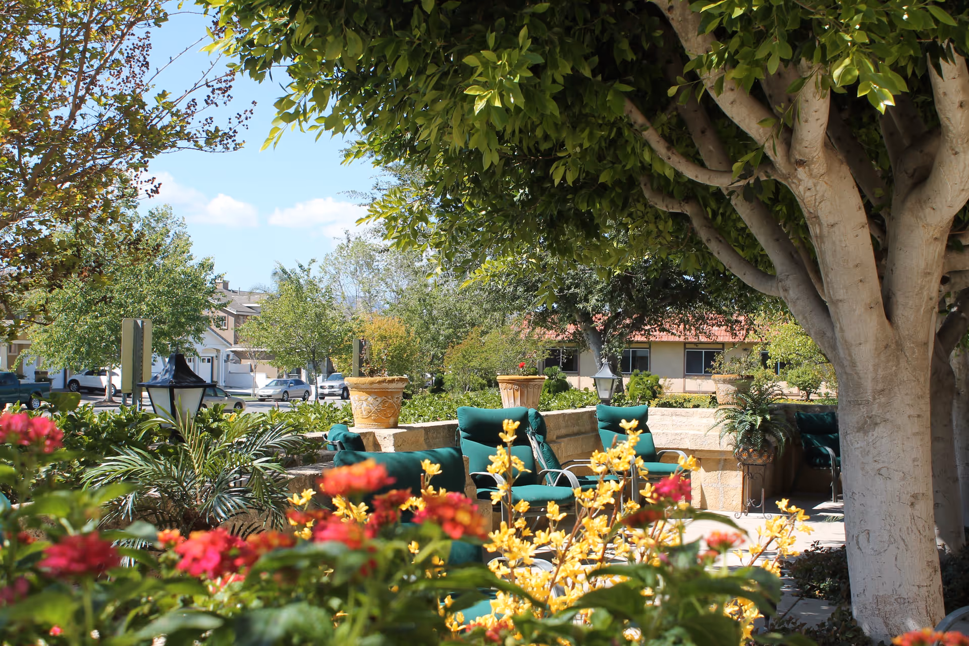 Outdoor seating area with green cushioned chairs surrounded by colorful flowers and large trees providing shade. In the background, there are residential buildings and parked cars under a clear blue sky.