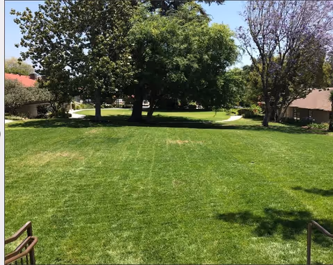 A large, well-maintained grassy lawn with several mature trees providing shade. There are paved walkways and buildings with brown roofs visible on either side of the lawn under a clear blue sky.