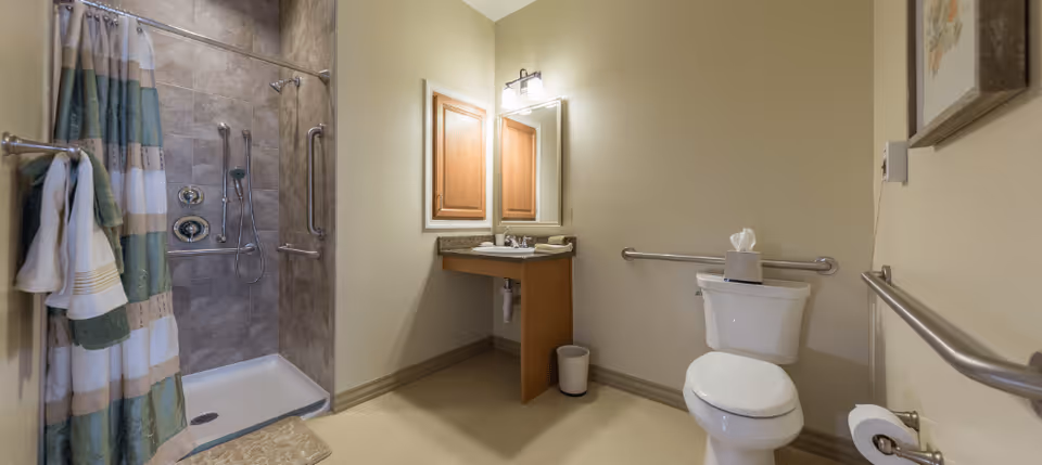 A bathroom with a walk-in shower featuring tiled walls and a striped shower curtain. There are grab bars inside the shower and next to the toilet. The bathroom also includes a toilet with a tissue box on top, a sink with a mirror above it, and a small trash can on the floor.