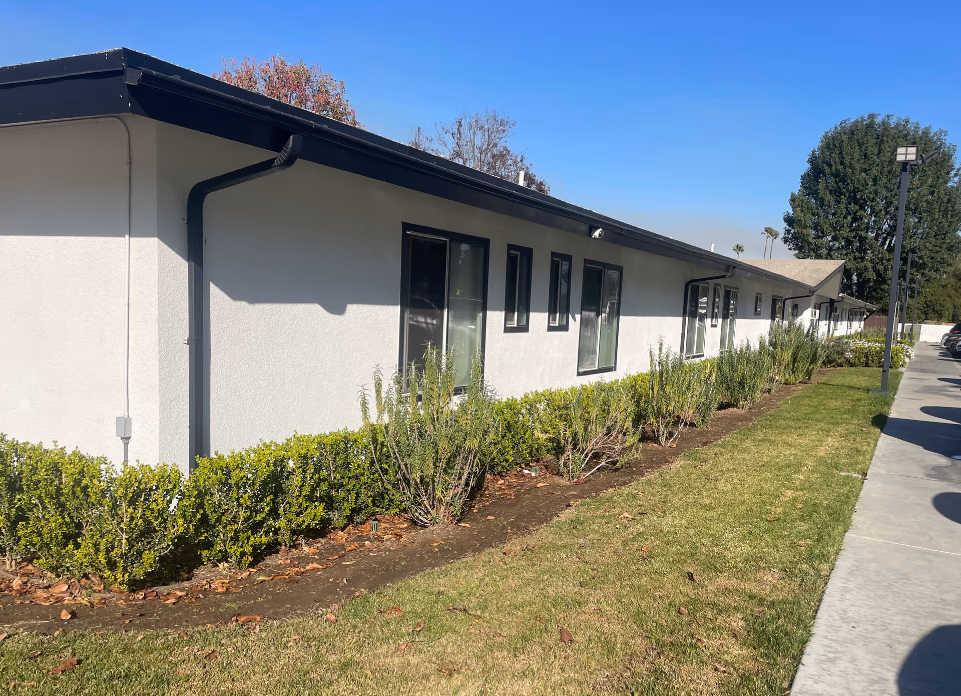 Exterior side view of a single-story building with white walls and black trim under a clear blue sky. There are several windows along the building, a landscaped garden with green bushes and plants, a grassy area, and a concrete sidewalk with parked cars visible on the right side.