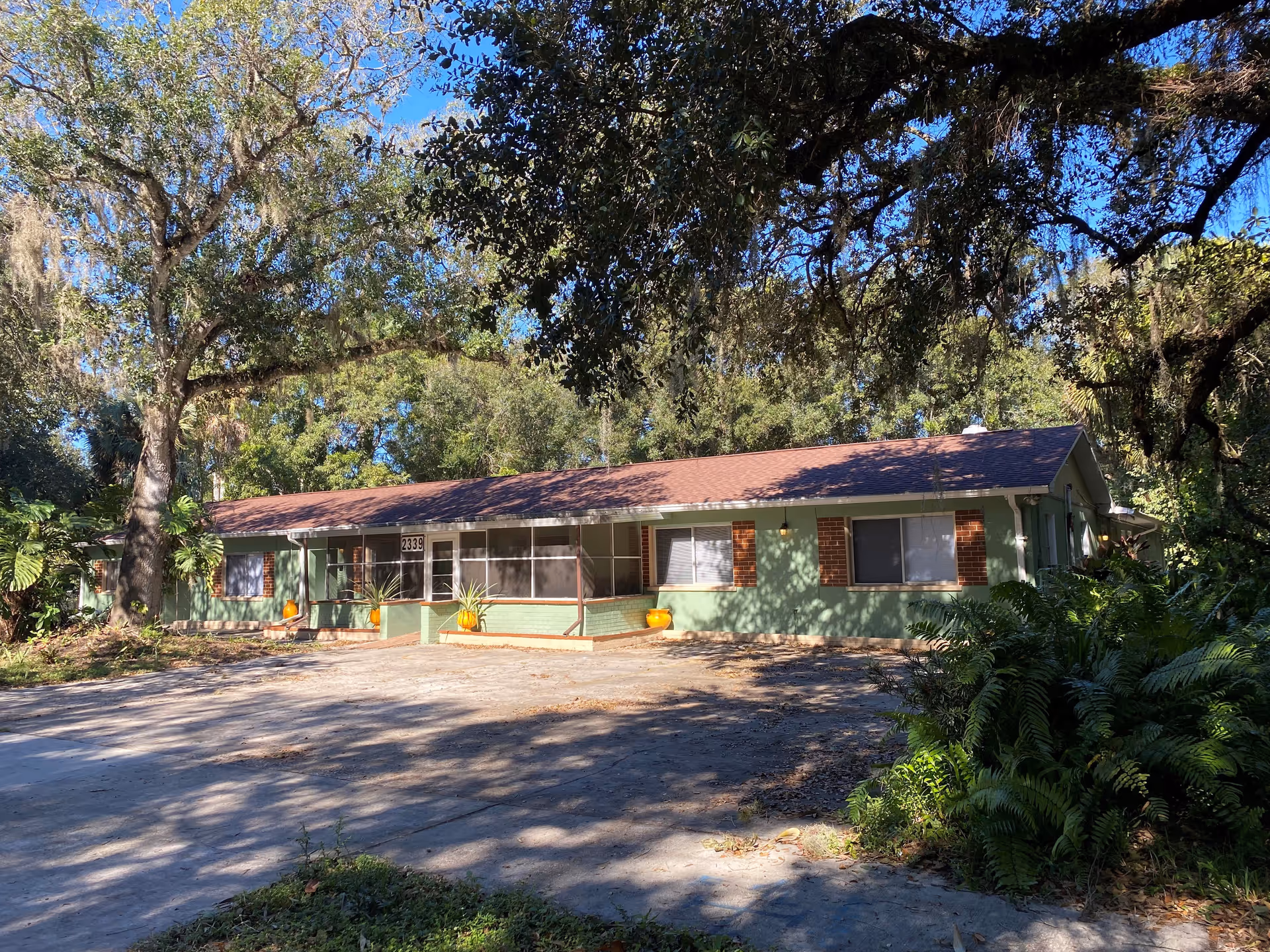 Single-story green building with a brown roof surrounded by large trees and greenery under a clear blue sky. The building has several windows and a screened porch area at the front with the number 2339 displayed above the entrance.