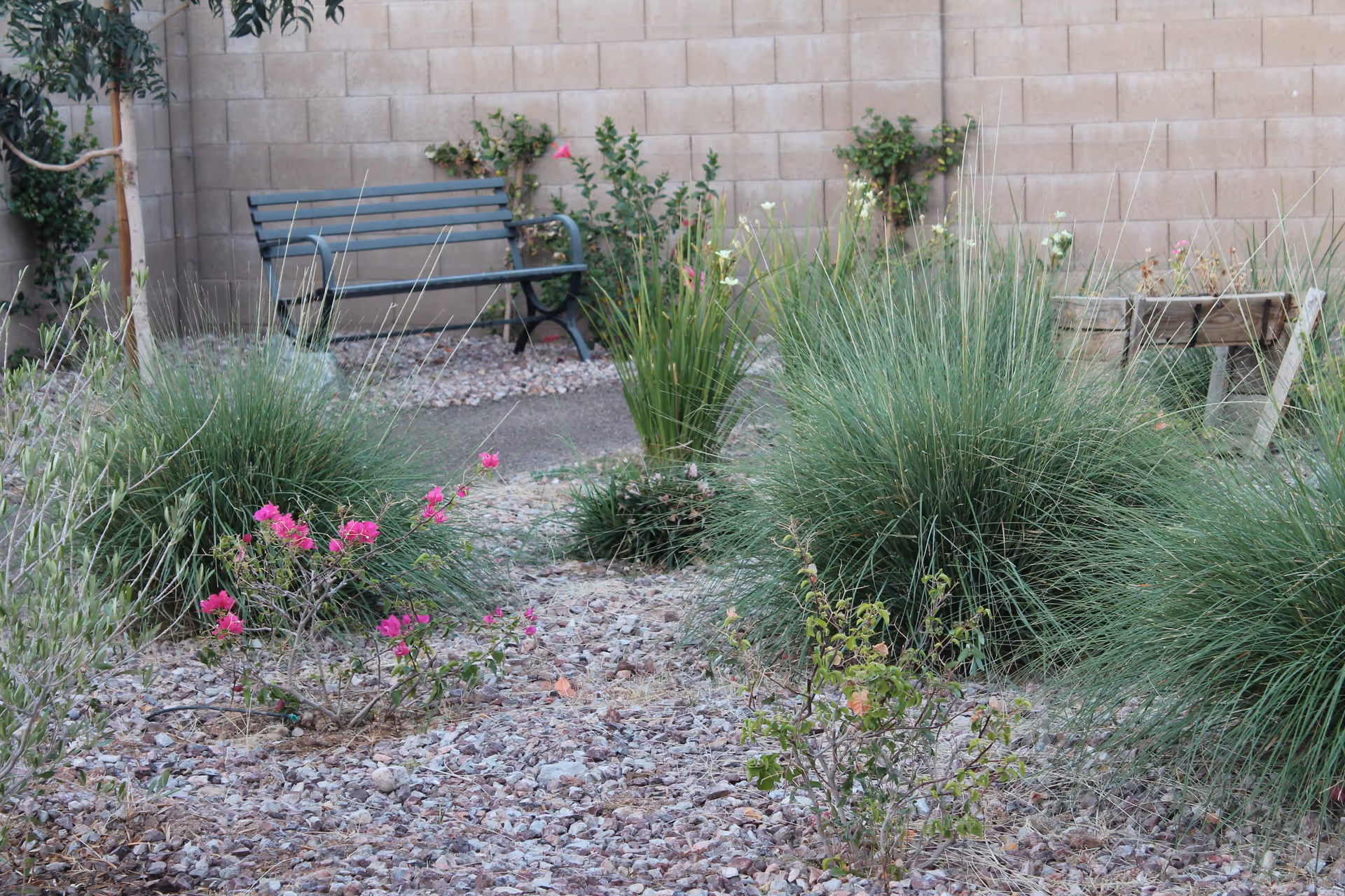 A small outdoor garden area with various green plants and bushes, some with pink flowers. There is a metal bench against a beige brick wall in the background, and a wooden planter box is visible on the right side.