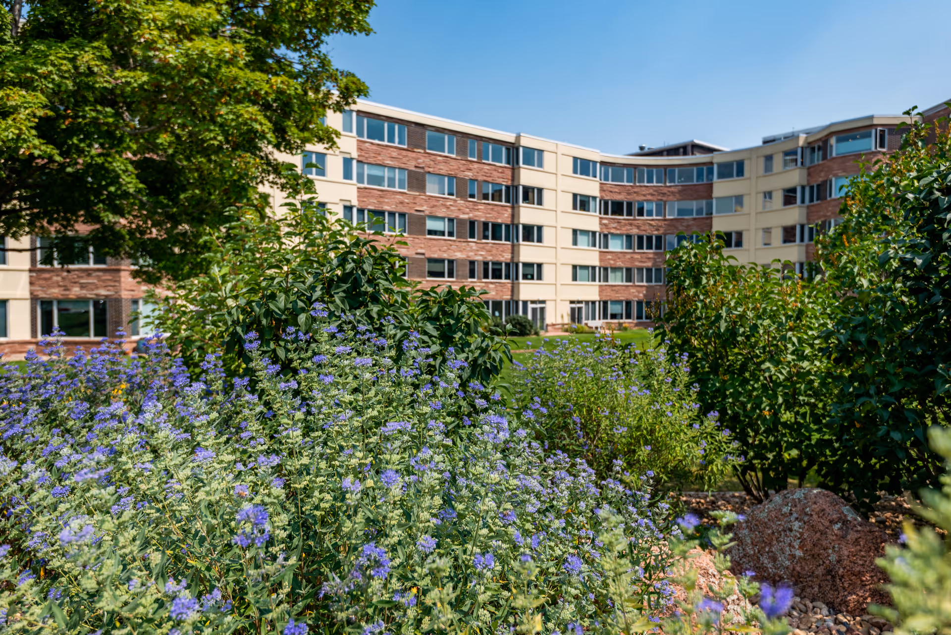 A landscaped garden area with green bushes and purple flowers in the foreground, and a multi-story retirement community building with beige and brick exterior in the background under a clear blue sky.