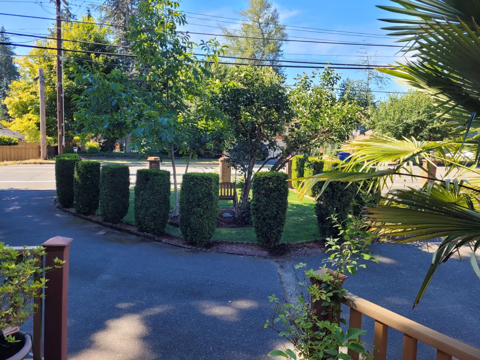 View of a neatly trimmed hedge and small trees surrounding a grassy area with a wooden bench, adjacent to a paved driveway and a street with power lines and trees in the background under a clear blue sky.