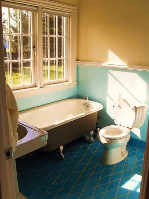 A vintage bathroom featuring a clawfoot tub and toilet by a sunlit window.