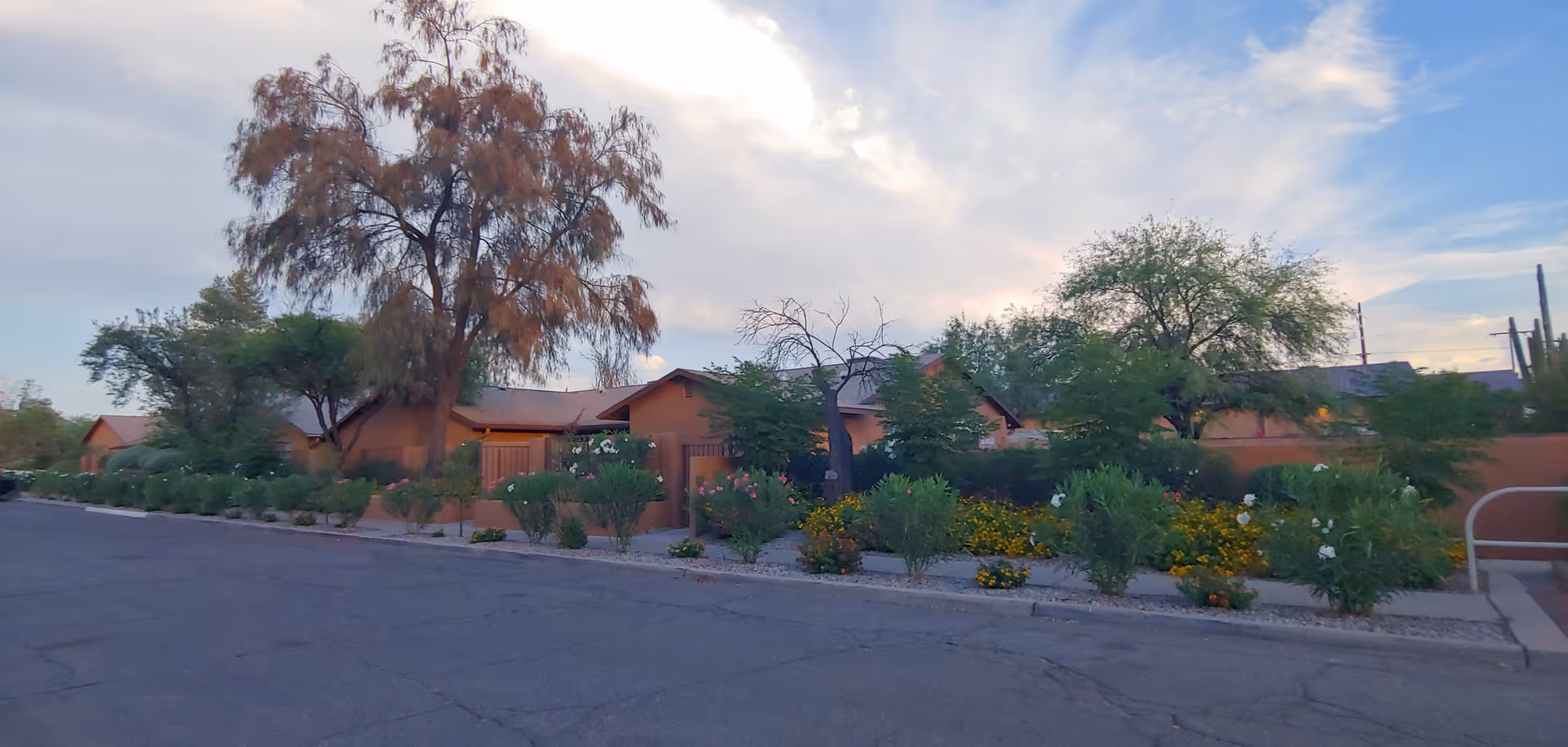 Low single-story building with desert landscaping and trees along a quiet street under a partly cloudy sky.