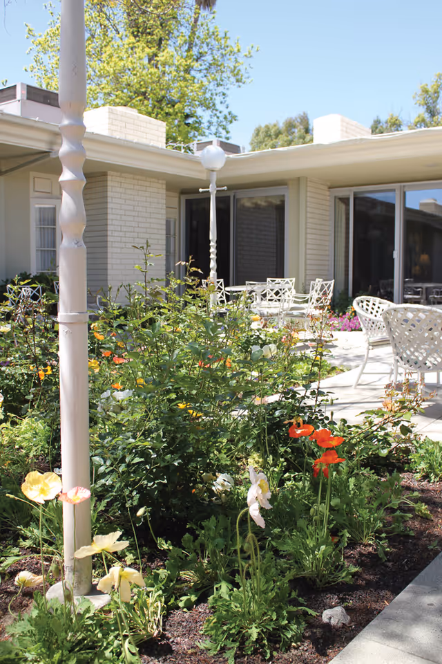Outdoor garden area with colorful flowers and green plants in front of a building with large windows and white patio furniture under a clear blue sky.
