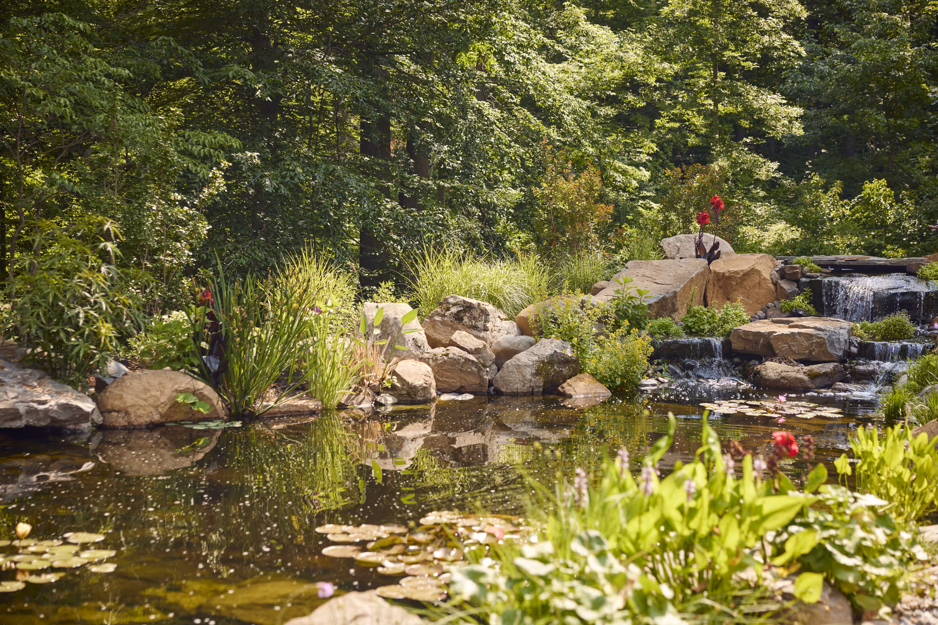 A serene outdoor garden scene featuring a small pond with lily pads, surrounded by rocks and lush green plants. There is a small waterfall cascading over rocks into the pond, with trees and dense foliage in the background.