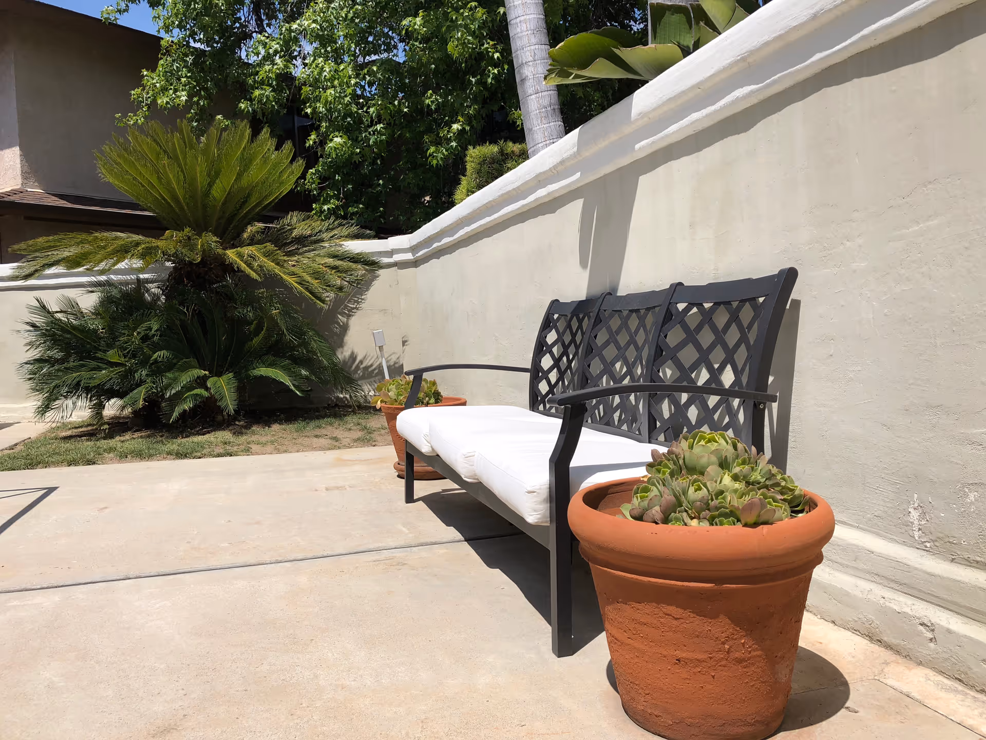 Outdoor patio area with a black metal bench with white cushions placed against a beige wall. There are two large terracotta pots with green succulent plants on either side of the bench. In the background, there are various green plants and trees.