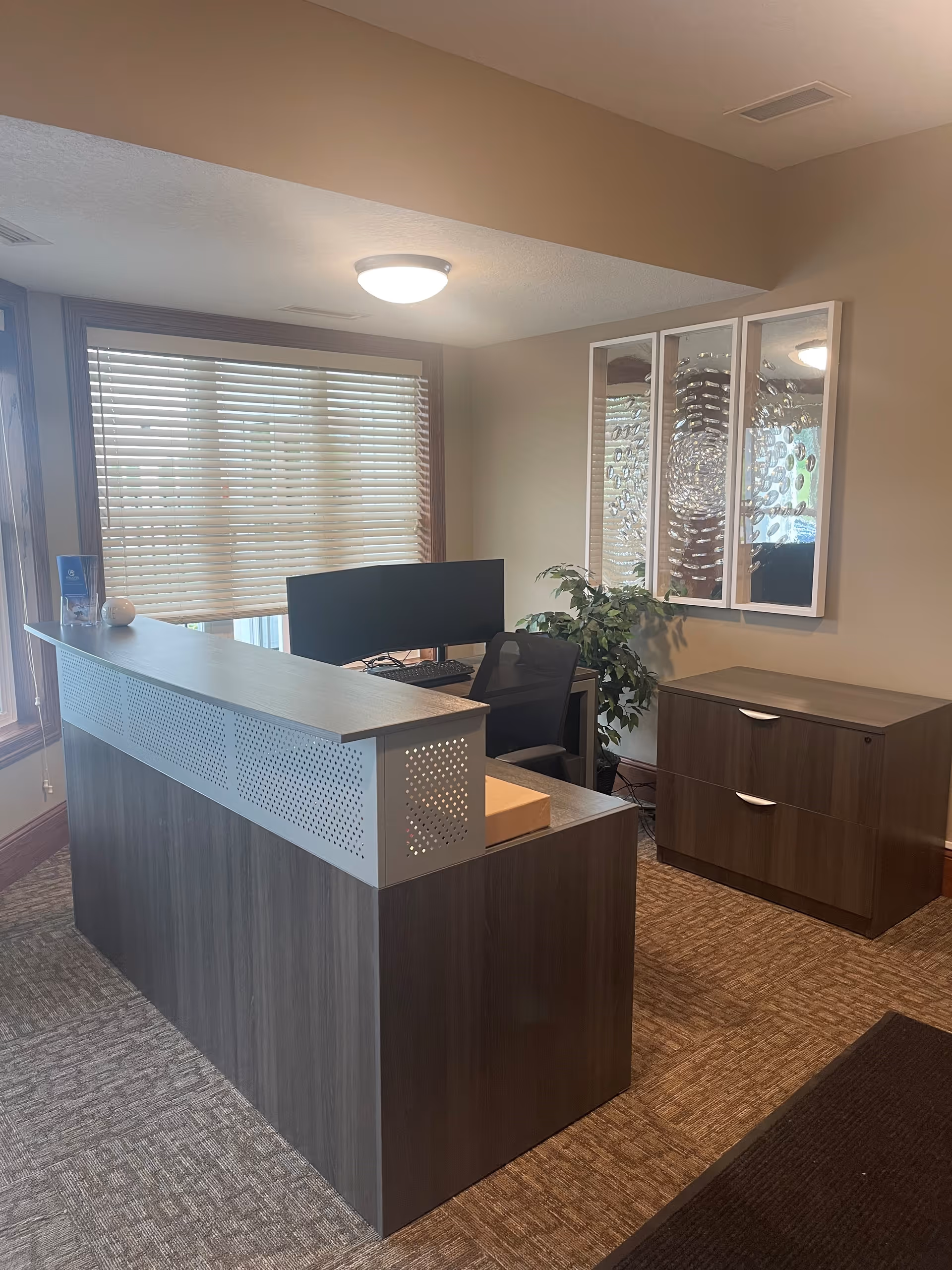 Reception area with a modern wooden desk, a computer monitor, an office chair, a filing cabinet, a decorative plant, and a window with blinds partially closed. The walls are beige and there is a ceiling light fixture.
