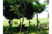 Outdoor area with several trees providing shade over wooden benches and a picnic table on a grassy lawn with an open field in the background.