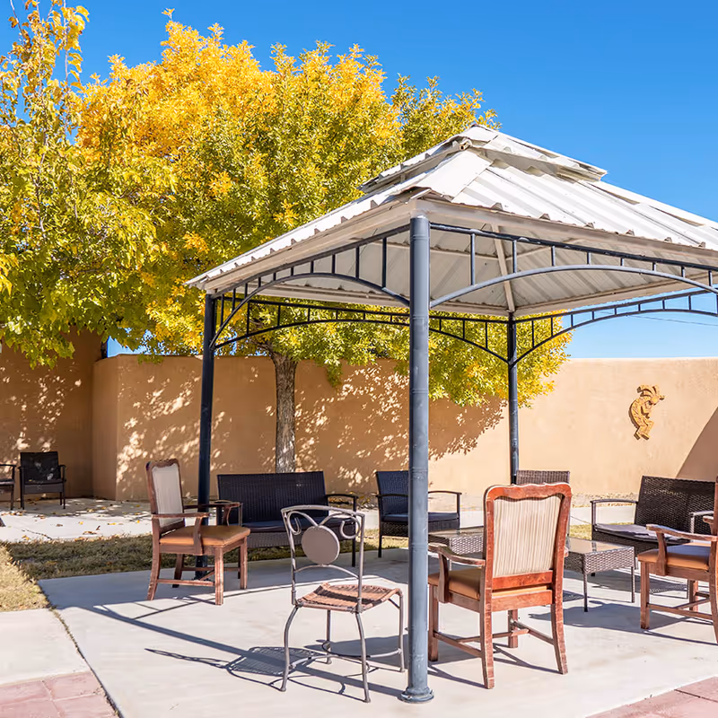 Outdoor seating area with a metal gazebo providing shade over several chairs and a small table. The area is surrounded by a beige stucco wall and trees with yellow-green leaves under a clear blue sky.