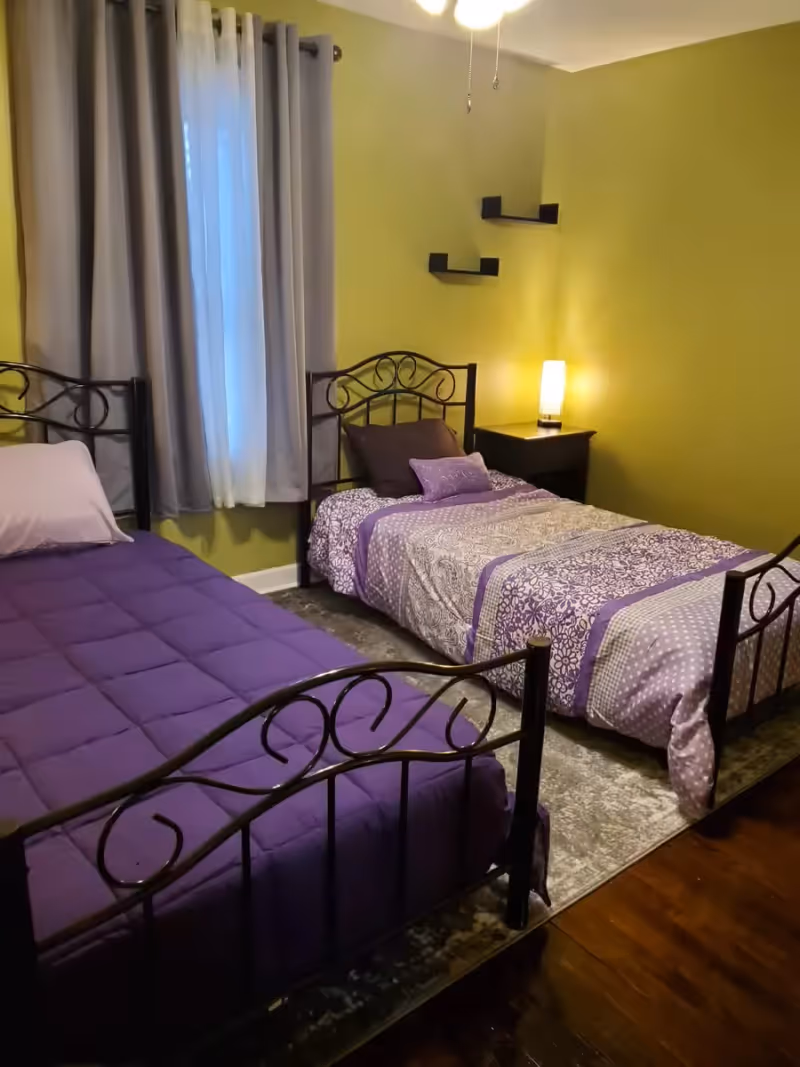 A bedroom with two single beds featuring black metal frames. One bed has a solid purple comforter and a light purple pillow, while the other has a patterned purple and beige comforter with matching pillows. The room has green walls, a window with gray curtains, a nightstand with a lit lamp, and two small black corner shelves on the wall.