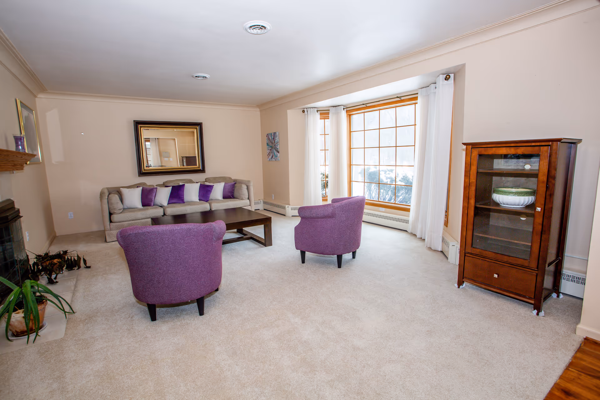 A bright living room with beige walls and carpet, featuring a beige sofa with purple and white pillows, two purple armchairs, a dark wooden coffee table, a wooden cabinet with glass doors, a large window with white curtains, and a fireplace with a plant nearby.
