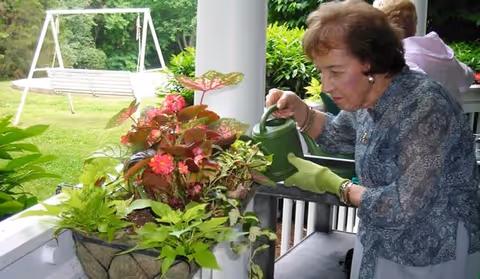 An elderly woman wearing green gardening gloves waters a planter filled with various green and flowering plants on a porch. In the background, there is a white swing set and lush green trees and bushes.