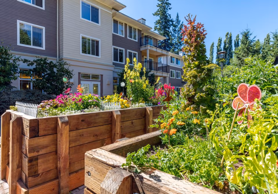 Raised wooden planter boxes filled with colorful flowers in a sunny courtyard outside a multi-story senior living building.