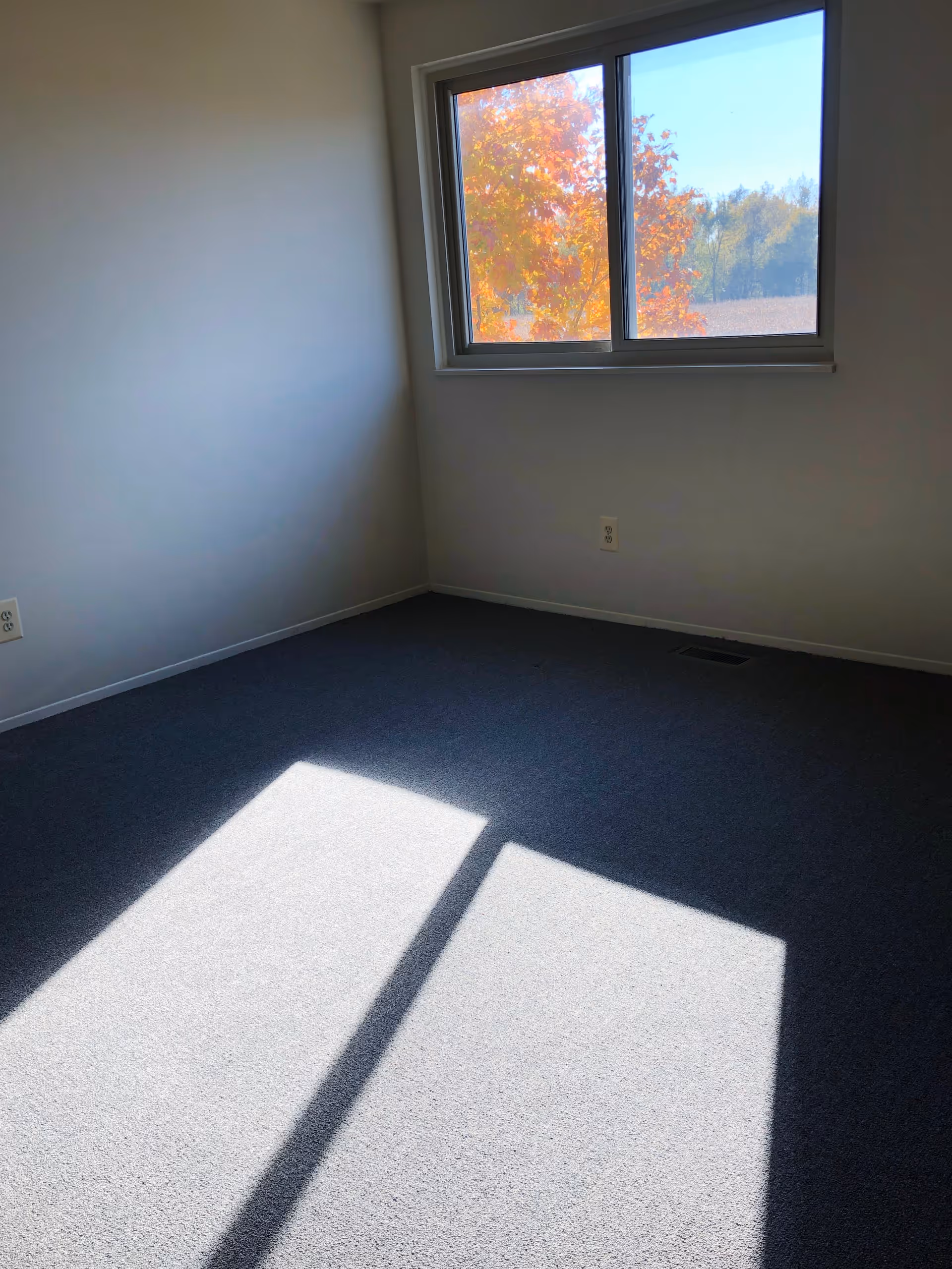 Empty room with gray carpet and white walls, sunlight streaming through a window casting a shadow on the floor. Outside the window, colorful autumn trees are visible.