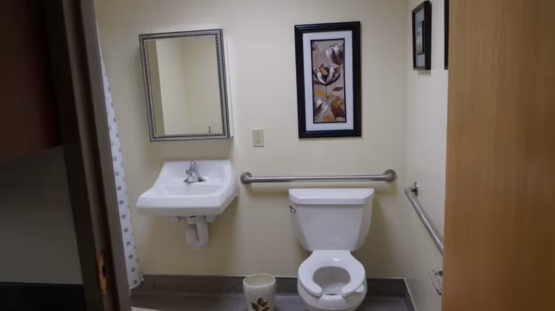 A small bathroom with a white toilet and a white wall-mounted sink. There is a rectangular mirror above the sink and a framed floral artwork on the wall above the toilet. The bathroom has beige walls and gray flooring, with metal grab bars installed next to the toilet and along the wall. A small trash can with a floral design is placed on the floor near the toilet.