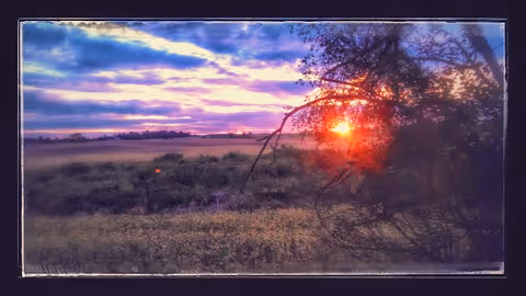 Colorful sunset over open fields with clouds and a silhouetted tree branch in the foreground.