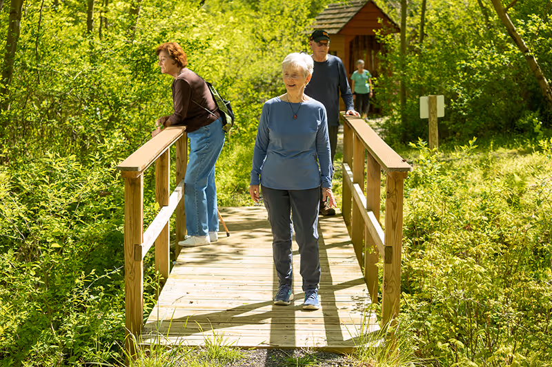Four elderly people enjoying a sunny day outdoors on a wooden bridge surrounded by lush green trees and vegetation. One woman in a blue long-sleeve shirt is walking on the bridge, another woman in a brown top and jeans is leaning on the railing looking at the greenery, and two other people are further back on the bridge.