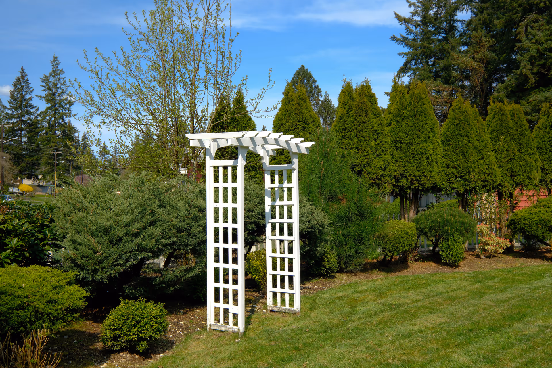 A well-maintained garden area with a white wooden trellis archway surrounded by various green shrubs and trees under a clear blue sky.