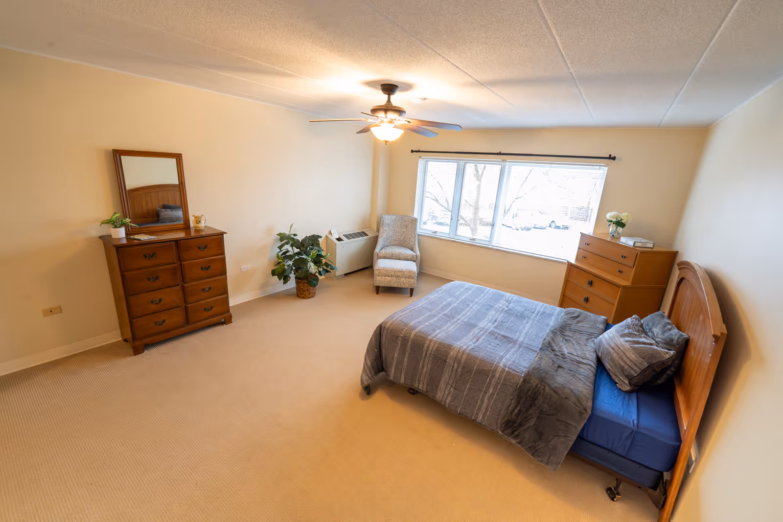 A spacious bedroom in a senior living facility with a bed covered in gray bedding, a wooden headboard, two wooden dressers, a mirror, a potted plant, a cushioned chair near a large window, and a ceiling fan with light.