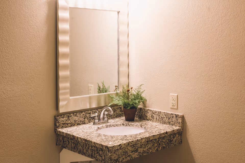 A bathroom corner with a granite countertop sink, a silver faucet, a decorative plant in a brown pot, and a large rectangular mirror with a wavy frame mounted on a beige textured wall.