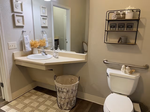 A clean and modern bathroom featuring a corner sink with a large mirror above it, a decorative basket underneath, and a toilet with a metal grab bar on the wall beside it. Above the toilet is a black metal shelf holding rolled towels, small baskets labeled 'Brush', 'Comb', and 'Floss', and a small potted plant. The walls are light-colored, and the floor has a patterned rug and wood-like flooring.