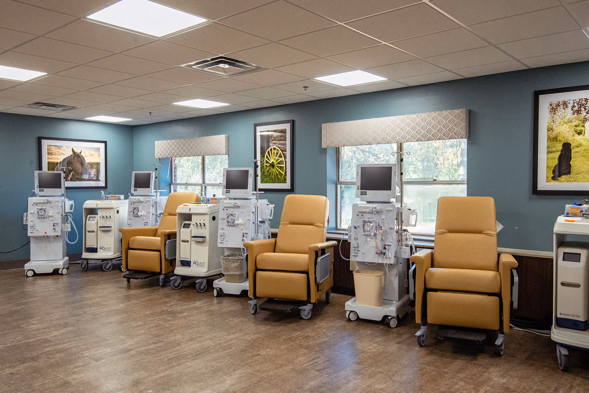 A row of reclining medical chairs and dialysis machines in a bright treatment room with framed pictures on teal walls.