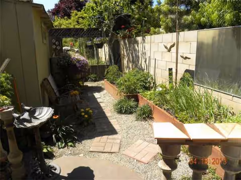 Outdoor garden courtyard with planters, a stone path, and seating.